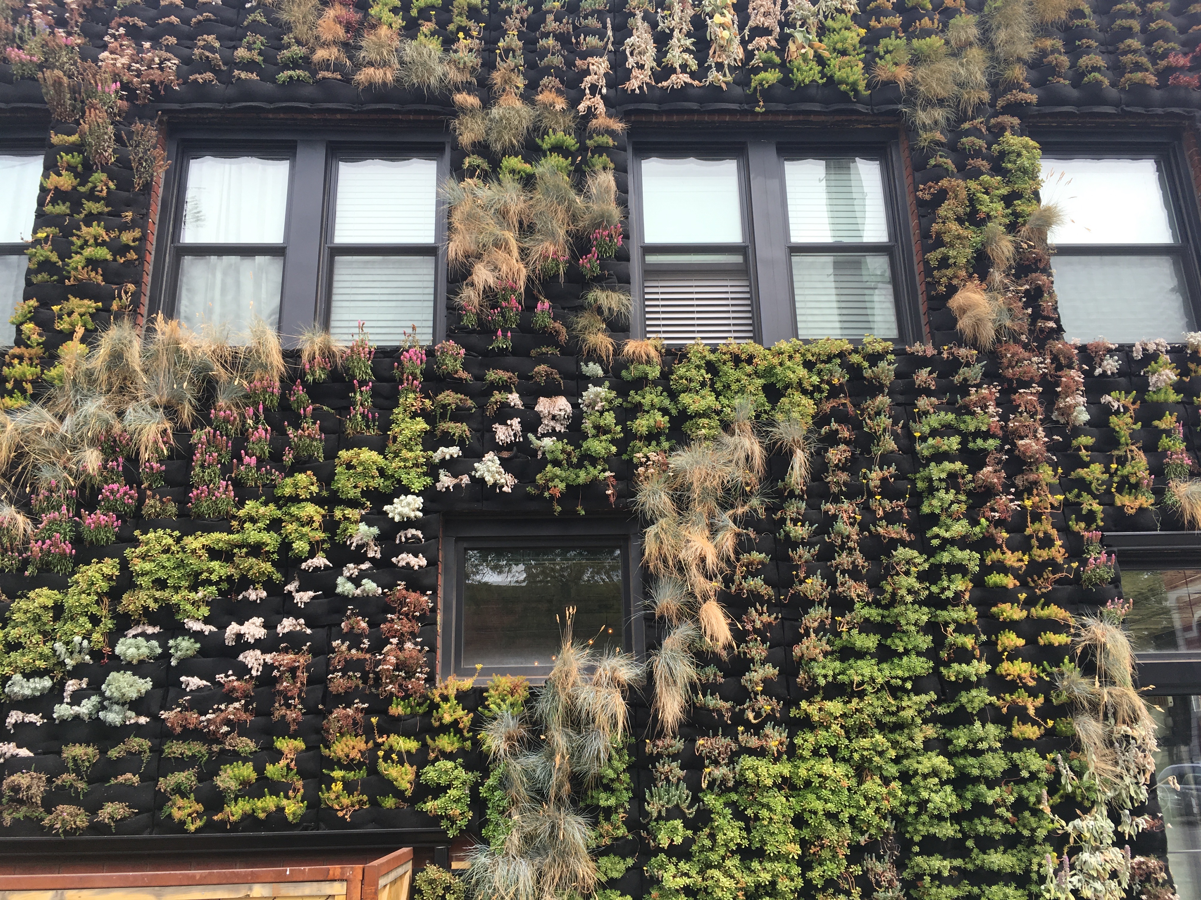 Urban Growth